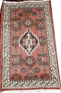 11507 HAMADAN PERSIAN RUG 3 2x1 9
