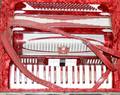 061229 CASTIGLIONE ACCORDION RED PEARLOID FINISH