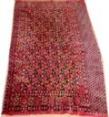 060087 BOKHARA WOOL RUG 34x54