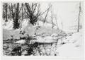 062342 CHARLES JAC YOUNG ETCHING SUNNY BROOK