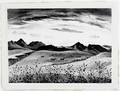 062337 ADOLF DEHN LITHOGRAPH WESTERN SUNFLOWERS
