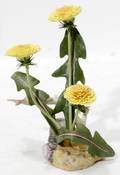 051405 BOEHM ENGLISH BISQUE DANDELION20498 H 55