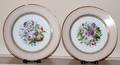 041614 SPODE PORCELAIN ANTIQUE PLATES 2 AS IS