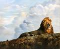 ROBERTS PRINT ON CANVAS H 48 L 60 RECUMBENT LION