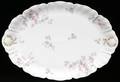 081485 HAVILAND FRENCH LIMOGES PORCELAIN PLATTER