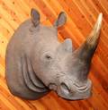REPRODUCTION FIBERGLASS WHITE RHINO SHOULDER MOUNT
