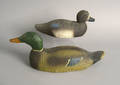 Two Victor animal trap decoys to include a mallard drake