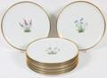 VIENNA HAND PAINTED PORCELAIN PLATES TWELVE