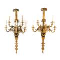 Pair French Bronze 5Light Gilt Bronze Sconces