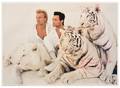 Siegfried  Roy Siegfried  Roy and White Tigers