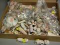 Group of All Bisque Doll Parts