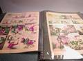 Large Portfolio of Flash Gordon and Jungle Jim Comics