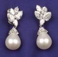 Platinum Diamond and South Sea Pearl Earpendants Harry Winston