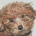 Bettina Burch American 20th21st Century Terrier