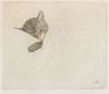 American School 20th Century Lot of Two Images of Kittens Sleeping Under Blankets