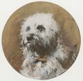 Continental School 19th Century Bichon