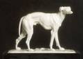 Nymphenburg Porcelain Figure of a Greyhound after Pierre Jules Mene