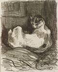 Thophile Alexandre Steinlen SwissFrench 1859  1923 Cat in Repose