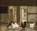 William T Robinson American b 1852 The Chicken Coop