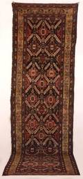 Bahktiari Long Rug