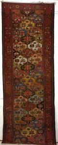 Bahktiari Long Rug
