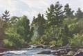 Ogden Minton Pleissner American 19051983 Adirondack Trout Stream
