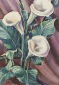 American School 20th Century Still Life with Calla Lilies