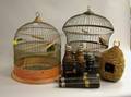 Two Painted Tin Birdcages a Moss and Wicker Bird House and Two Pairs of Binoculars