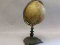 Schedlers Terrestrial Table Globe on Black Painted Cast Iron Base