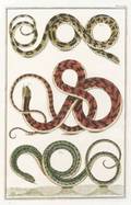 Continental School 19th Century Lot of Two Snake Prints