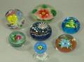 Seven Glass Floral Paperweights