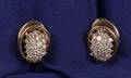 14kt Gold and Diamond Earrings Jose Hess