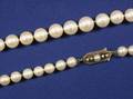 Cultured Pearl Necklace