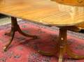 Mahogany and Rosewood Veneer Double Pedestal Dining Table