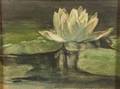 John LaFarge American 18351910 Water Lily