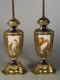 Pair of Coalport Porcelain Works Ornithological Lamp Bases
