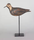 Black belly plover shore bird decoy ca 1900