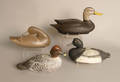 Group of 4 duck decoys