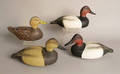 Canvasback hen and two drake duck decoys