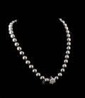 Mikimoto Pearl Strand wDiamond Clasp