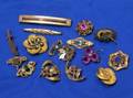 Group of Goldfilled Pins