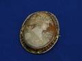 Gold Mounted Shell Cameo Brooch