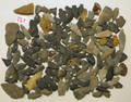 Collection of arrowheads and pottery fragments