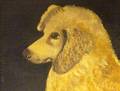 Framed Oil Primitive Dog Portrait
