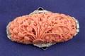 Art Deco Platinum Coral and Diamond Brooch