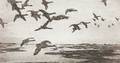 Frank Weston Benson American 18621951 Geese Against The Sky