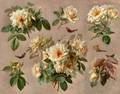 Paul de Longpre FrenchAmerican 18551911 Pale Pink Roses and Butterflies