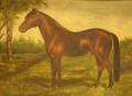Framed Oil Portrait of a Horse