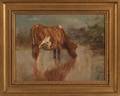 Charles Franklin Pierce Sharon New Hampshire 18841920 Portrait of a Cow Drinking Water