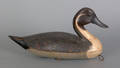 Illinois River pintail duck decoy ca 1930